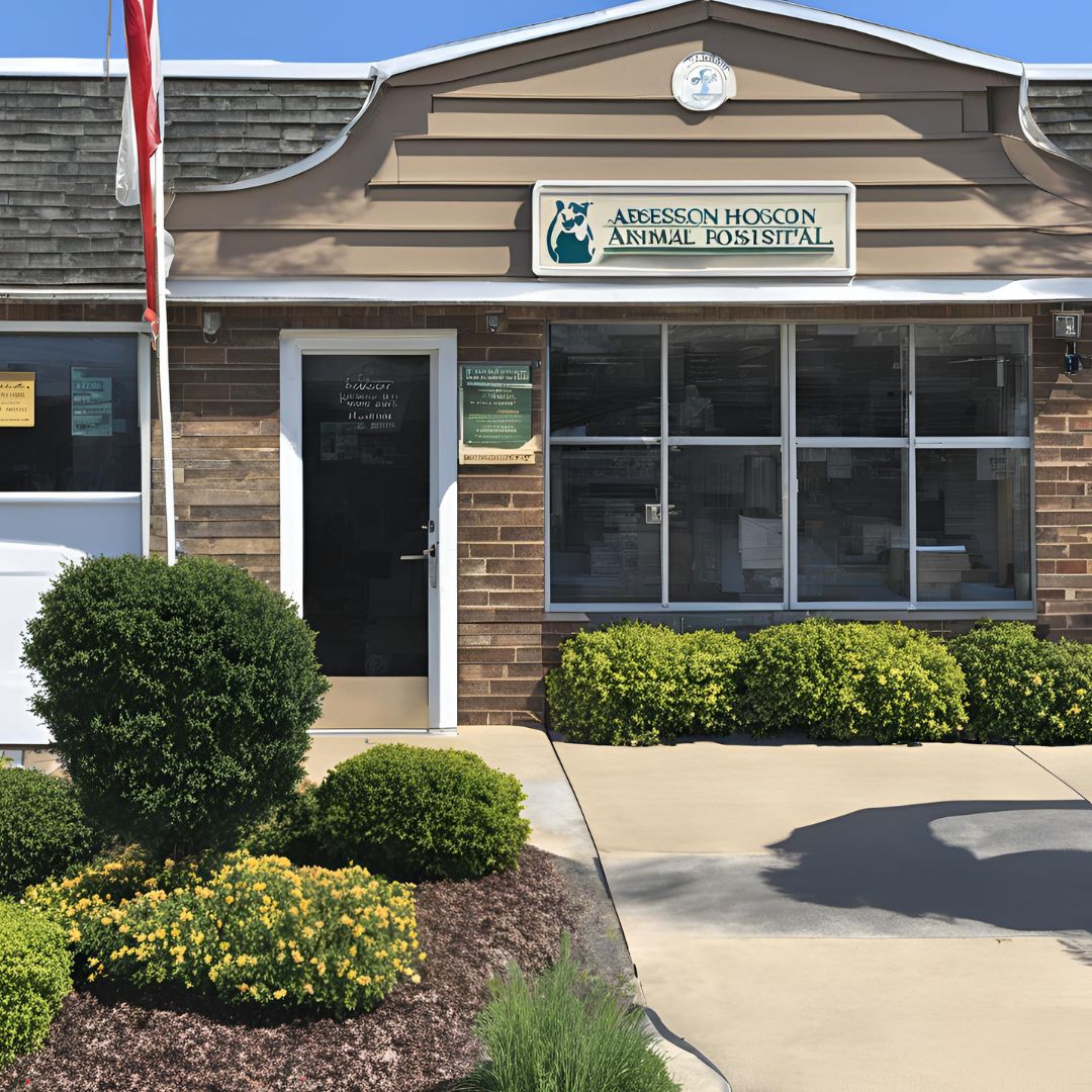 Absecon animal hospital